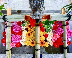 南宮大社、あじさい、6月夏の花、岐阜県不破郡の観光・撮影スポットの画像と写真