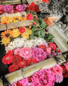 南宮大社、あじさい、6月夏の花、岐阜県不破郡の観光・撮影スポットの画像と写真