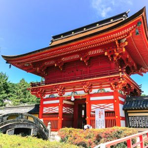 南宮大社、６月夏、岐阜県不破郡の観光・撮影スポットの画像と写真