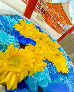 南宮大社、あじさい、6月夏の花、岐阜県不破郡の観光・撮影スポットの画像と写真