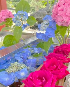 南宮大社、あじさい、6月夏の花、岐阜県不破郡の観光・撮影スポットの画像と写真