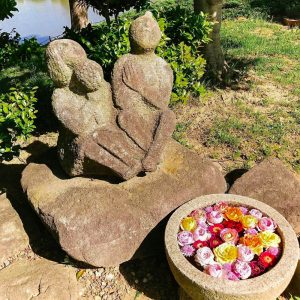おだい公園、バラ、5月の夏の花、愛知県知多郡東浦の観光・撮影スポットの画像と写真