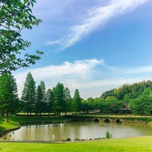 おだい公園、5月夏、愛知県知多郡東浦の観光・撮影スポットの画像と写真