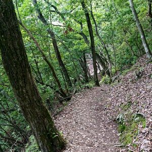 大桑城跡、古城山、６月夏、岐阜県山県市の観光・撮影スポットの画像と写真