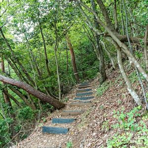 大桑城跡、古城山、６月夏、岐阜県山県市の観光・撮影スポットの画像と写真