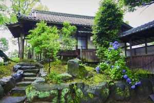 音楽寺、あじさい、6月夏の花、愛知県江南市の観光・撮影スポットの画像と写真
