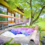 六華苑、あじさい、手水舎、6月夏の花、岐阜県大垣市の観光・撮影スポットの画像と写真