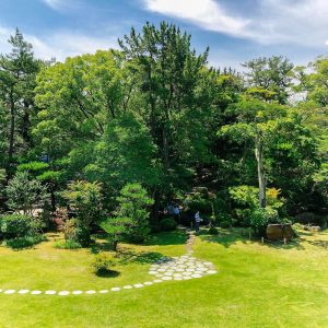 六華苑、6月夏の花、三重県桑名市の観光・撮影スポットの画像と写真