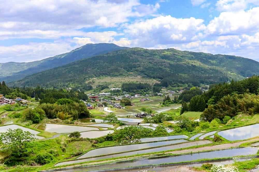 坂折棚田、田園、5月夏、岐阜県恵那市の観光・撮影スポットの画像と写真