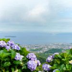 三ヶ根山スカイライン、あじさい、6月夏の花、愛知県西尾市の観光・撮影スポットの画像と写真