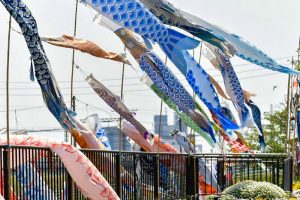 佐屋川創郷公園、鯉のぼり、春、愛知県海部郡の観光・撮影スポットの画像と写真