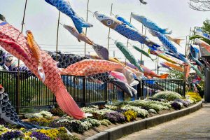 佐屋川創郷公園、鯉のぼり、春、愛知県海部郡の観光・撮影スポットの画像と写真
