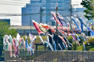 佐屋川創郷公園、鯉のぼり、春、愛知県海部郡の観光・撮影スポットの画像と写真