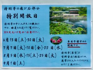 白鳥庭園、スイレン、6月夏の花、名古屋市熱田区の観光・撮影スポットの画像と写真
