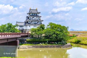 墨俣あじさい街道、あじさい、6月夏の花、岐阜県大垣市の観光・撮影スポットの画像と写真