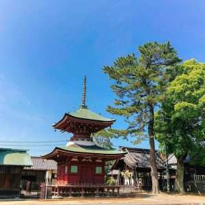 大塚性海寺歴史公園、あじさい、6月夏の花、愛知県豊橋市の観光・撮影スポットの画像と写真