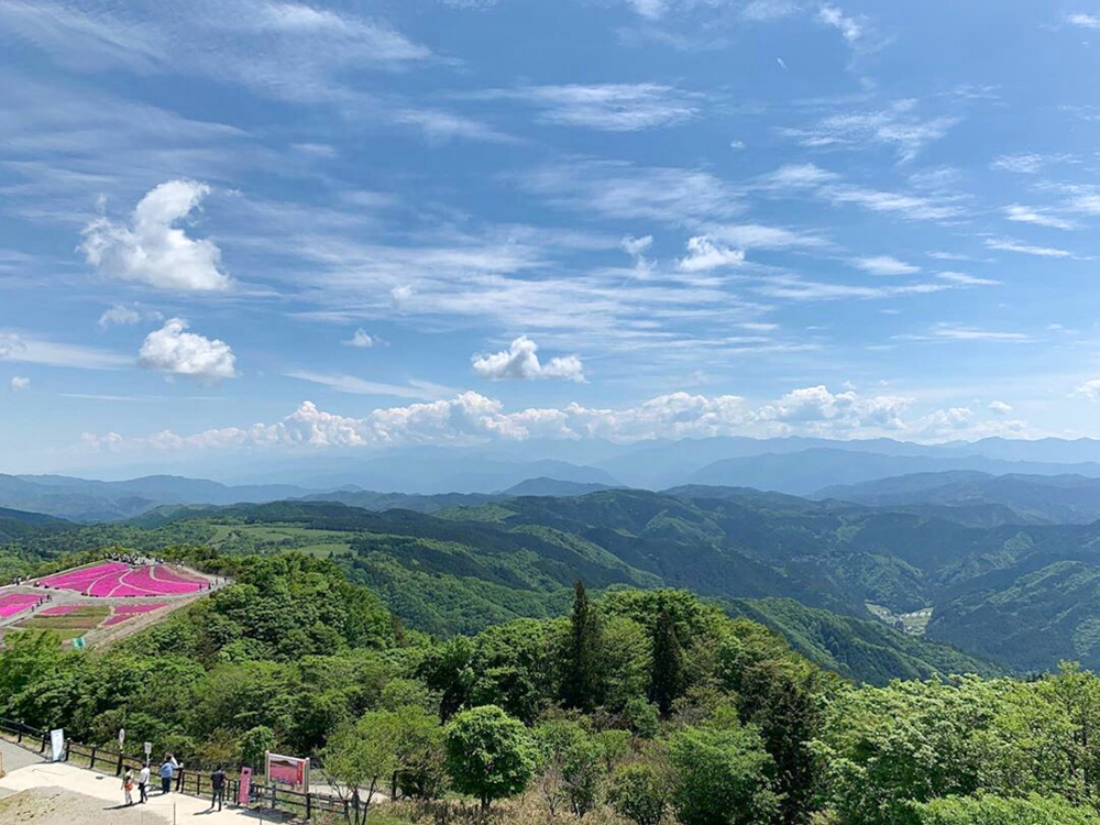 茶臼山高原、6月夏、愛知県豊田市の観光・撮影スポットの画像と写真