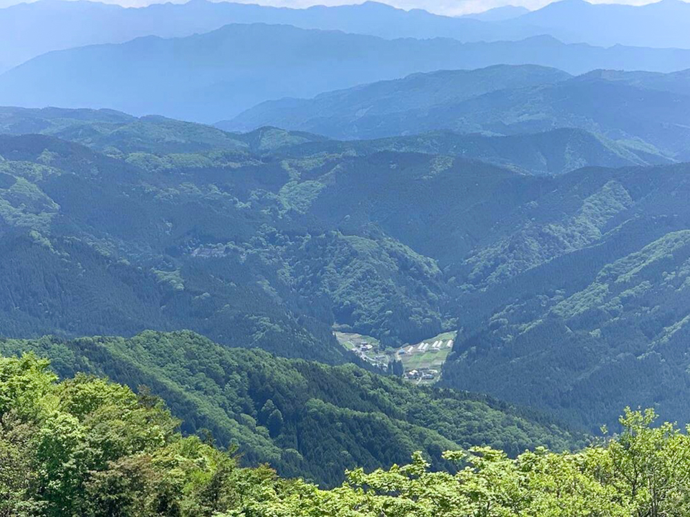 茶臼山高原、6月夏、愛知県豊田市の観光・撮影スポットの画像と写真