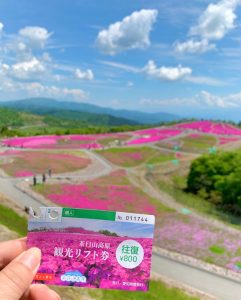 茶臼山高原芝桜まつり、6月春の花、愛知県豊田市の観光・撮影スポットの画像と写真