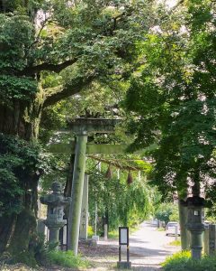 若江神社、手水舎、あじさい、５月夏の花、岐阜県岐阜市の観光・撮影スポットの名所