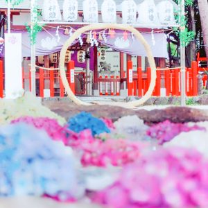 別小江神社、あじさい、6月夏の花、名古屋市北区の観光・撮影スポットの画像と写真