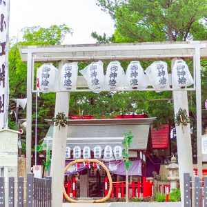 別小江神社、御朱印、6月夏の花、名古屋市北区の観光・撮影スポットの画像と写真