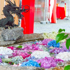 別小江神社、あじさい、6月夏の花、名古屋市北区の観光・撮影スポットの画像と写真
