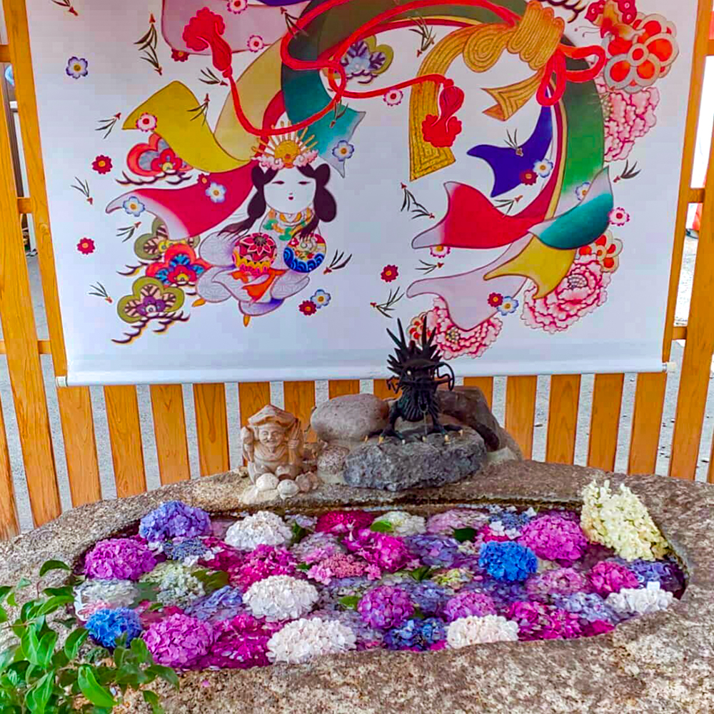 別小江神社、あじさい、6月夏の花、名古屋市北区の観光・撮影スポットの画像と写真
