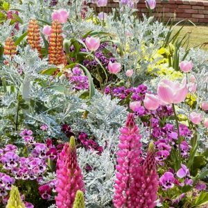 フローラルガーデンよさみ、4月の春の花、愛知県刈谷市の観光・撮影スポットの画像と写真