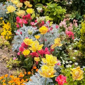 フローラルガーデンよさみ、4月の春の花、愛知県刈谷市の観光・撮影スポットの画像と写真