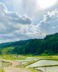 四谷千枚田、５月水張り、夏、愛知県新城市の観光・撮影スポットの画像と写真