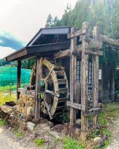 四谷千枚田、５月水張り、夏、愛知県新城市の観光・撮影スポットの画像と写真