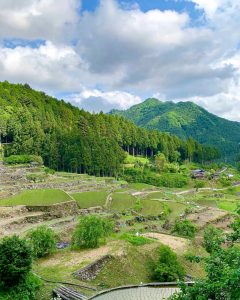 四谷千枚田、５月水張り、夏、愛知県新城市の観光・撮影スポットの画像と写真