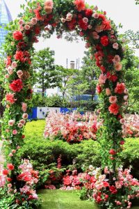 大名古屋ビルヂング、7月夏、名古屋市中村区の観光・撮影スポットの画像と写真