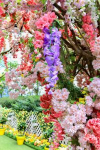 大名古屋ビルヂング、7月夏、名古屋市中村区の観光・撮影スポットの画像と写真