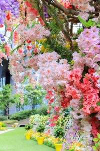 大名古屋ビルヂング、7月夏、名古屋市中村区の観光・撮影スポットの画像と写真