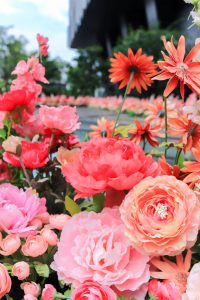大名古屋ビルヂング、7月夏、名古屋市中村区の観光・撮影スポットの画像と写真