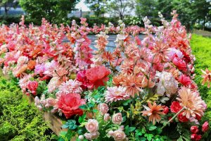 大名古屋ビルヂング、7月夏、名古屋市中村区の観光・撮影スポットの画像と写真