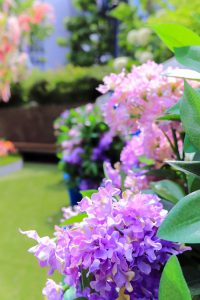 大名古屋ビルヂング、7月夏、名古屋市中村区の観光・撮影スポットの画像と写真