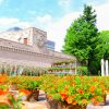 久屋大通庭園フラリエ、夏の花7月、名古屋市中区の観光・撮影スポットの画像と写真