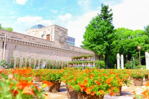 久屋大通庭園フラリエ、夏の花7月、名古屋市中区の観光・撮影スポットの画像と写真