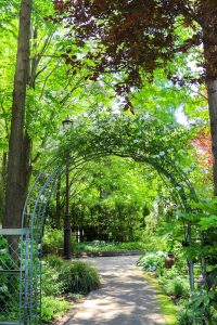 久屋大通庭園フラリエ、夏の花5月、名古屋市中区の観光・撮影スポットの画像と写真