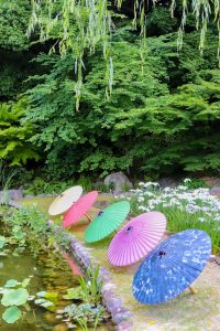 徳川園、花しょうぶ・和傘、6月夏の花、名古屋市東区の観光・撮影スポットの画像と写真