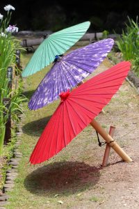 徳川園、花しょうぶ・和傘、6月夏の花、名古屋市東区の観光・撮影スポットの画像と写真