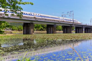 十九女池公園、スイレン、新幹線、7月の夏の花、岐阜県不破郡の観光・撮影スポットの名所