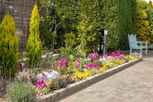 フローラルガーデンよさみ、2月春の花、愛知県刈谷市の観光・撮影スポットの画像と写真