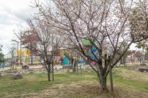 フローラルガーデンよさみ、梅、2月春の花、愛知県刈谷市の観光・撮影スポットの画像と写真