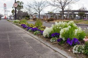 フローラルガーデンよさみ、2月春の花、愛知県刈谷市の観光・撮影スポットの画像と写真