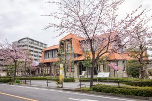 文化のみち二葉館、オオカンザクラ並木道、2月春の花、名古屋市東区の観光・撮影スポットの名所