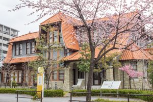 文化のみち二葉館、オオカンザクラ並木道、2月春の花、名古屋市東区の観光・撮影スポットの名所